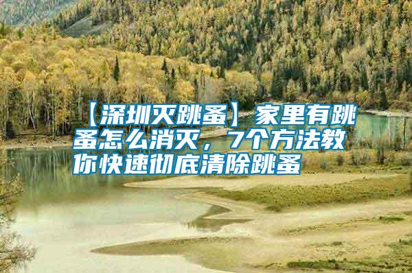 【深圳滅跳蚤】家里有跳蚤怎么消滅，7個方法教你快速徹底清除跳蚤