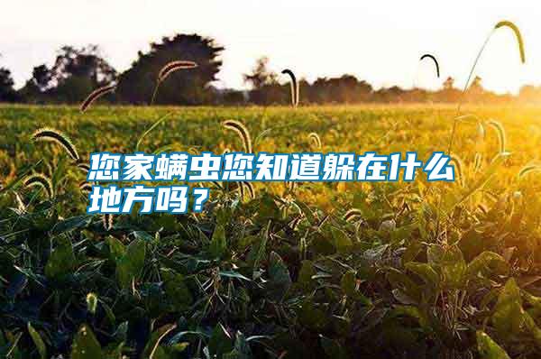 您家螨蟲您知道躲在什么地方嗎？