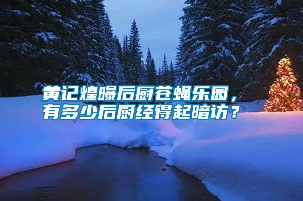 黃記煌曝后廚蒼蠅樂園， 有多少后廚經(jīng)得起暗訪？