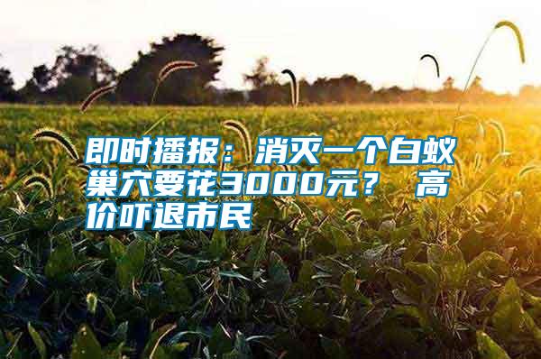 即時(shí)播報(bào)：消滅一個(gè)白蟻巢穴要花3000元？ 高價(jià)嚇退市民