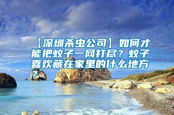 【深圳殺蟲(chóng)公司】如何才能把蚊子一網(wǎng)打盡？蚊子喜歡藏在家里的什么地方？