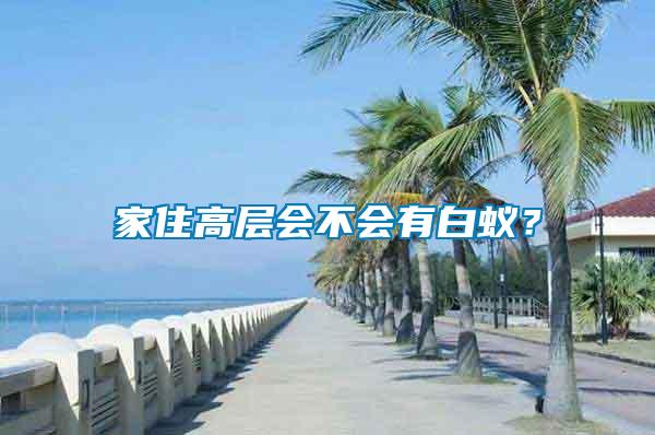 家住高層會不會有白蟻？