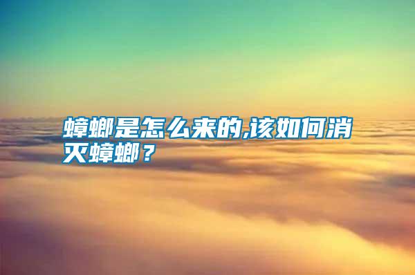 蟑螂是怎么來的,該如何消滅蟑螂？