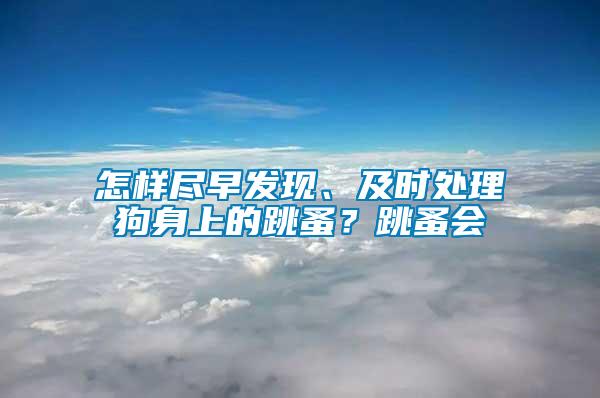 怎樣盡早發(fā)現(xiàn)、及時(shí)處理狗身上的跳蚤？跳蚤會(huì)