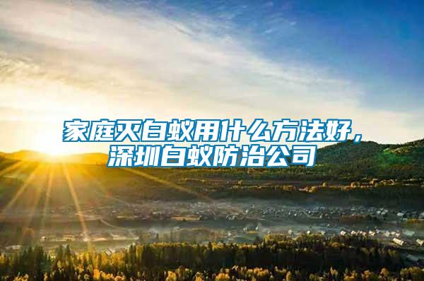 家庭滅白蟻用什么方法好，深圳白蟻防治公司