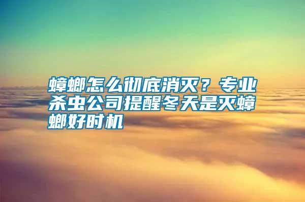 蟑螂怎么徹底消滅？專業(yè)殺蟲公司提醒冬天是滅蟑螂好時機