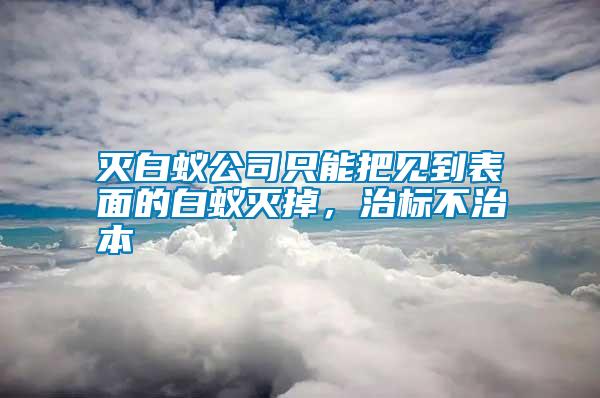 滅白蟻公司只能把見到表面的白蟻滅掉，治標不治本