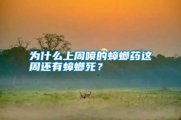 為什么上周噴的蟑螂藥這周還有蟑螂死？