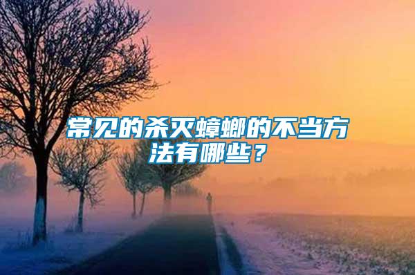 常見的殺滅蟑螂的不當方法有哪些？