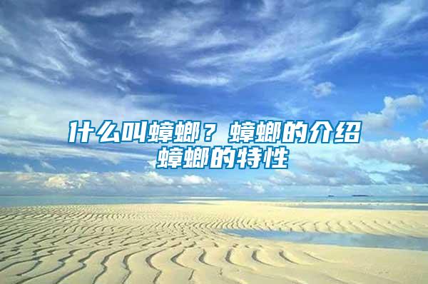 什么叫蟑螂？蟑螂的介紹 蟑螂的特性