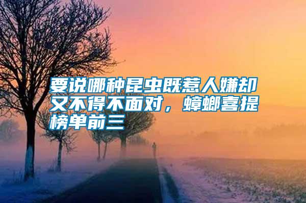 要說哪種昆蟲既惹人嫌卻又不得不面對(duì)，蟑螂喜提榜單前三