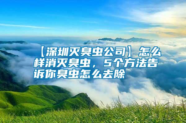 【深圳滅臭蟲公司】怎么樣消滅臭蟲，5個(gè)方法告訴你臭蟲怎么去除