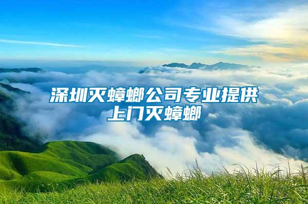 深圳滅蟑螂公司專業(yè)提供上門滅蟑螂