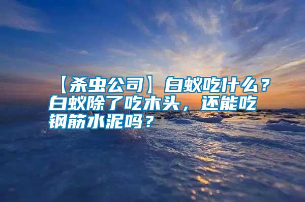 【殺蟲公司】白蟻吃什么？白蟻除了吃木頭，還能吃鋼筋水泥嗎？