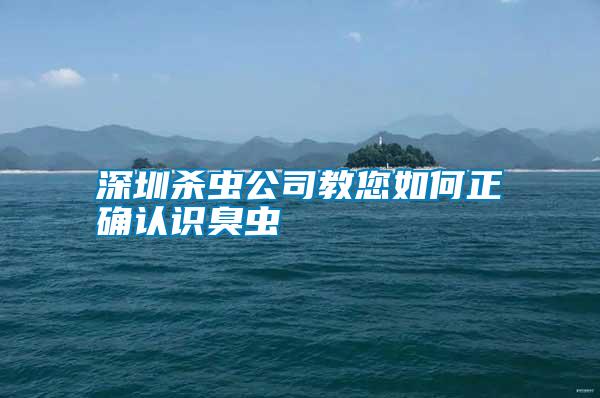 深圳殺蟲公司教您如何正確認(rèn)識臭蟲