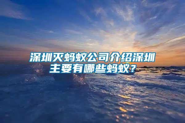 深圳滅螞蟻公司介紹深圳主要有哪些螞蟻？