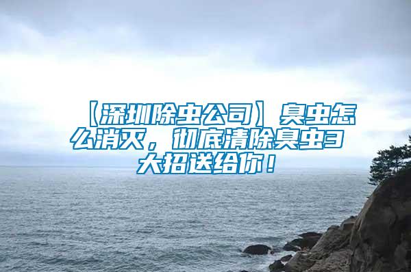 【深圳除蟲公司】臭蟲怎么消滅，徹底清除臭蟲3大招送給你！