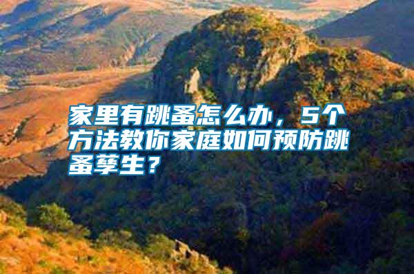 家里有跳蚤怎么辦，5個(gè)方法教你家庭如何預(yù)防跳蚤孳生？