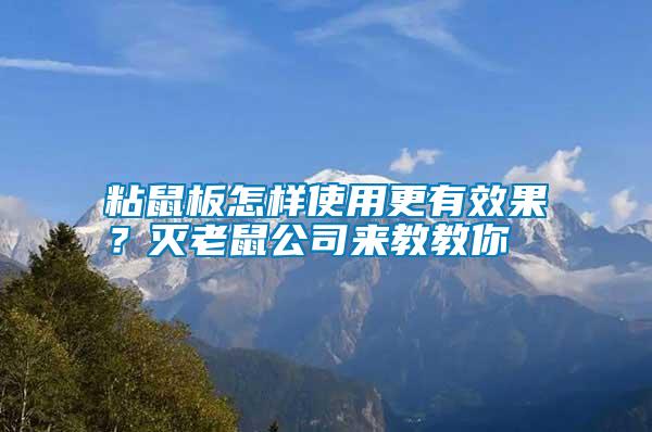 粘鼠板怎樣使用更有效果？滅老鼠公司來教教你