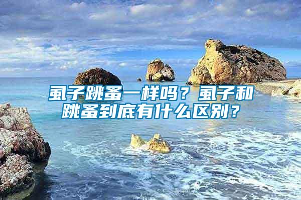 虱子跳蚤一樣嗎？虱子和跳蚤到底有什么區(qū)別？