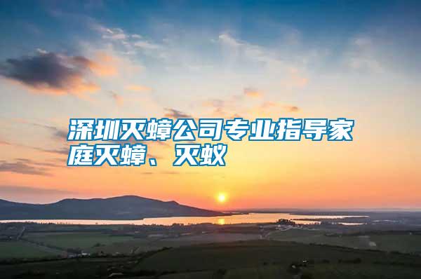 深圳滅蟑公司專業(yè)指導家庭滅蟑、滅蟻