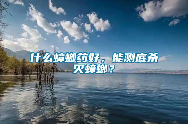 什么蟑螂藥好，能測底殺滅蟑螂？