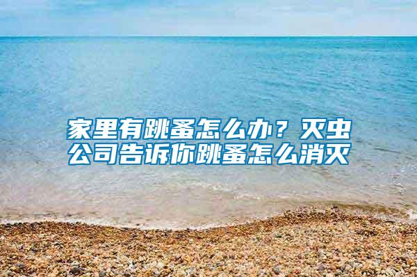 家里有跳蚤怎么辦？滅蟲公司告訴你跳蚤怎么消滅