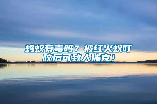 螞蟻有毒嗎？被紅火蟻叮咬后可致人休克！