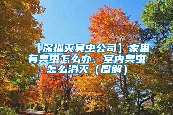 【深圳滅臭蟲公司】家里有臭蟲怎么辦，室內(nèi)臭蟲怎么消滅（圖解）