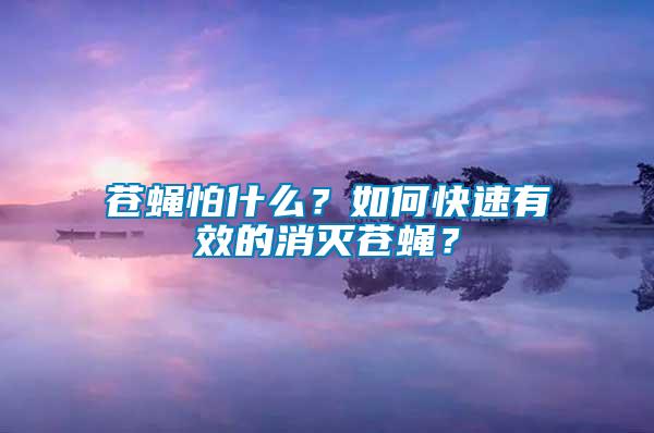 蒼蠅怕什么？如何快速有效的消滅蒼蠅？