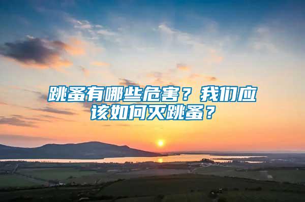 跳蚤有哪些危害？我們應(yīng)該如何滅跳蚤？