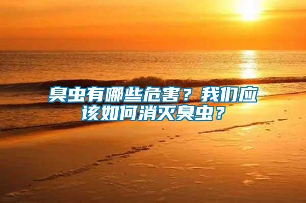 臭蟲有哪些危害？我們應該如何消滅臭蟲？