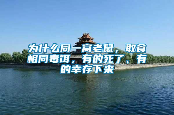 為什么同一窩老鼠，取食相同毒餌，有的死了、有的幸存下來