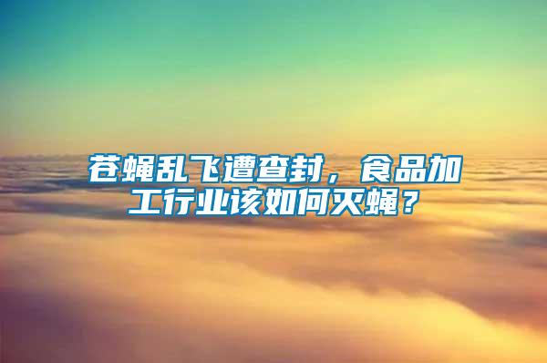 蒼蠅亂飛遭查封，食品加工行業(yè)該如何滅蠅？