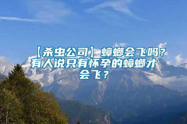 【殺蟲公司】蟑螂會(huì)飛嗎？有人說只有懷孕的蟑螂才會(huì)飛？