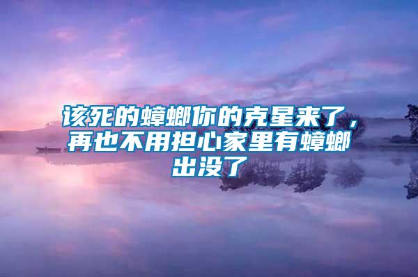 該死的蟑螂你的克星來了，再也不用擔心家里有蟑螂出沒了