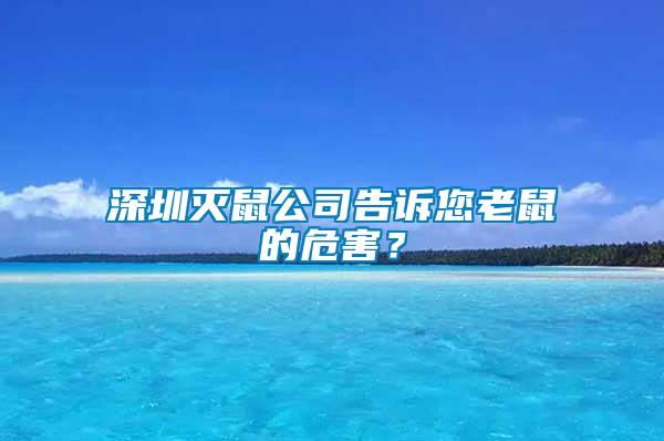 深圳滅鼠公司告訴您老鼠的危害？