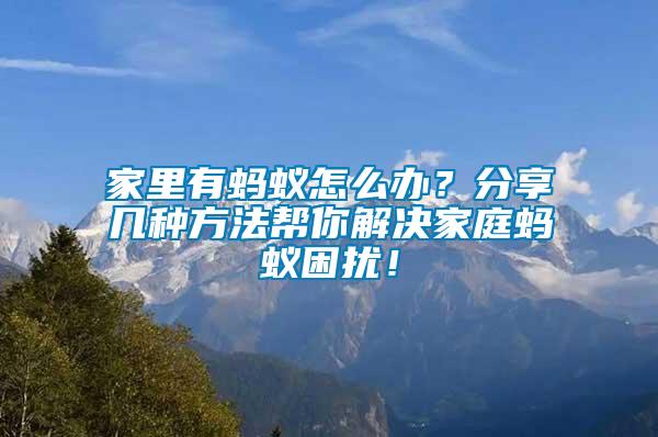 家里有螞蟻怎么辦？分享幾種方法幫你解決家庭螞蟻困擾！