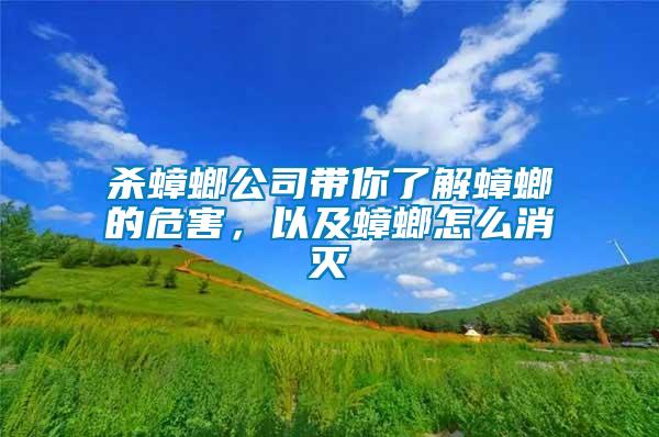 殺蟑螂公司帶你了解蟑螂的危害，以及蟑螂怎么消滅