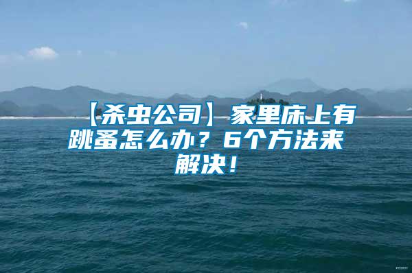 【殺蟲公司】家里床上有跳蚤怎么辦？6個方法來解決！