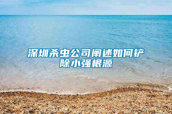 深圳殺蟲公司闡述如何鏟除小強根源