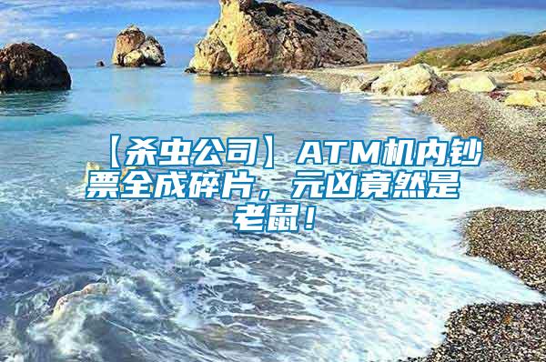 【殺蟲(chóng)公司】ATM機(jī)內(nèi)鈔票全成碎片，元兇竟然是老鼠！