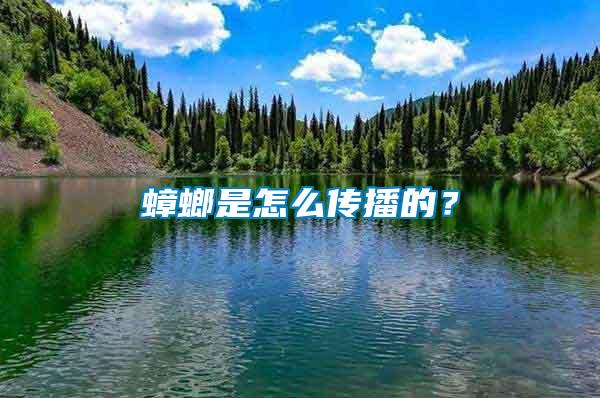 蟑螂是怎么傳播的？