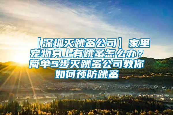 【深圳滅跳蚤公司】家里寵物身上有跳蚤怎么辦？簡單5步滅跳蚤公司教你如何預防跳蚤