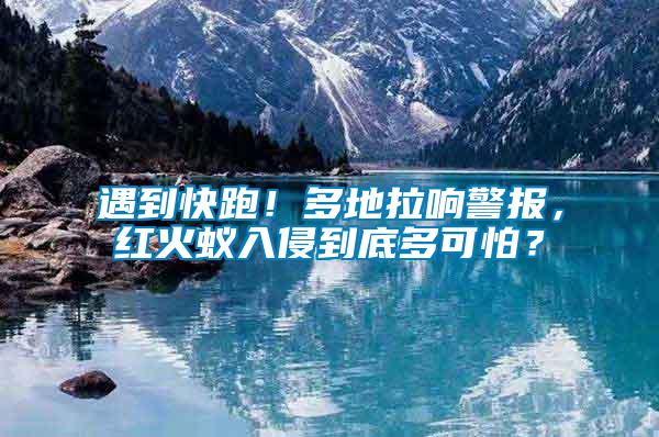 遇到快跑！多地拉響警報，紅火蟻入侵到底多可怕？