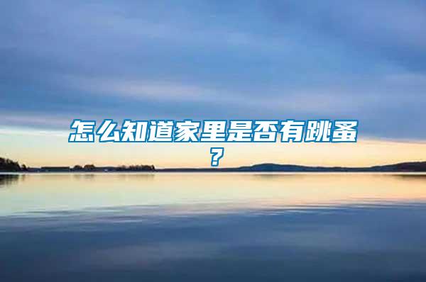 怎么知道家里是否有跳蚤？