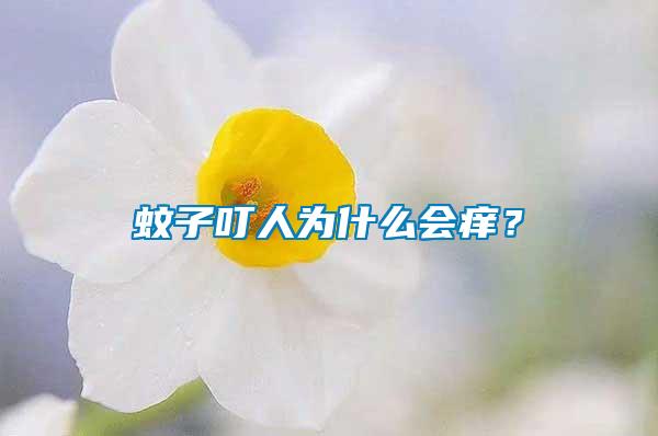 蚊子叮人為什么會(huì)癢？