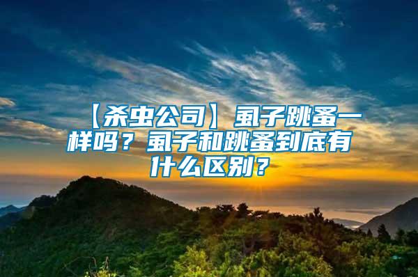 【殺蟲(chóng)公司】虱子跳蚤一樣嗎？虱子和跳蚤到底有什么區(qū)別？