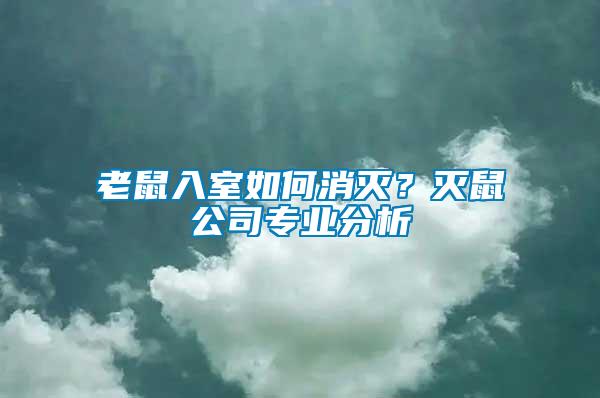 老鼠入室如何消滅？滅鼠公司專業(yè)分析