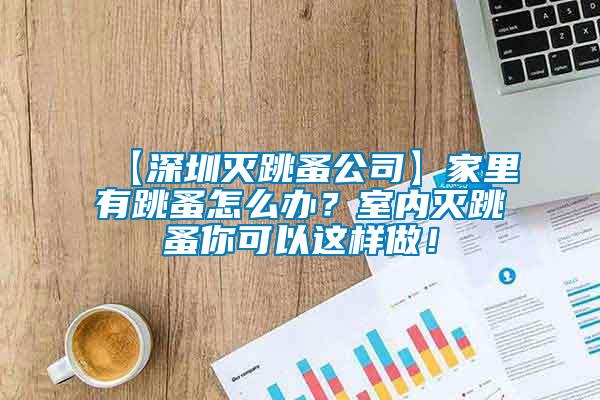 【深圳滅跳蚤公司】家里有跳蚤怎么辦？室內滅跳蚤你可以這樣做！